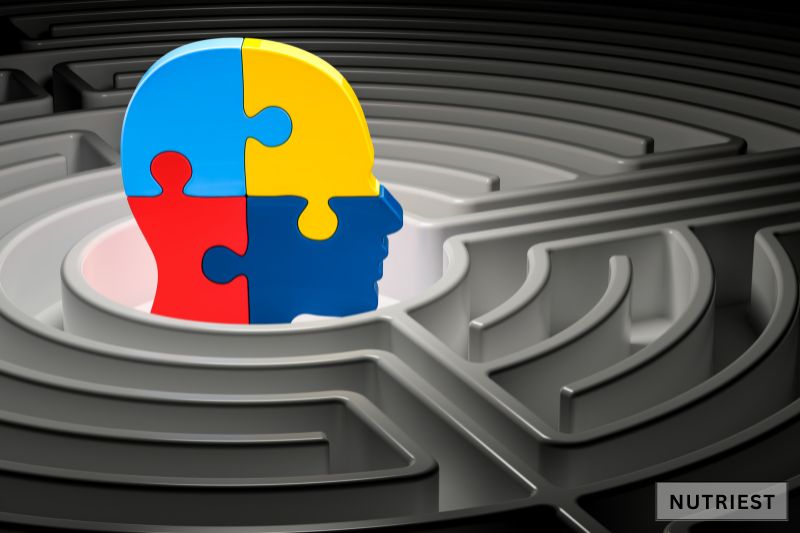 Puzzle brain in maze symbolizing beef brain supplement benefits for mental clarity and focus.