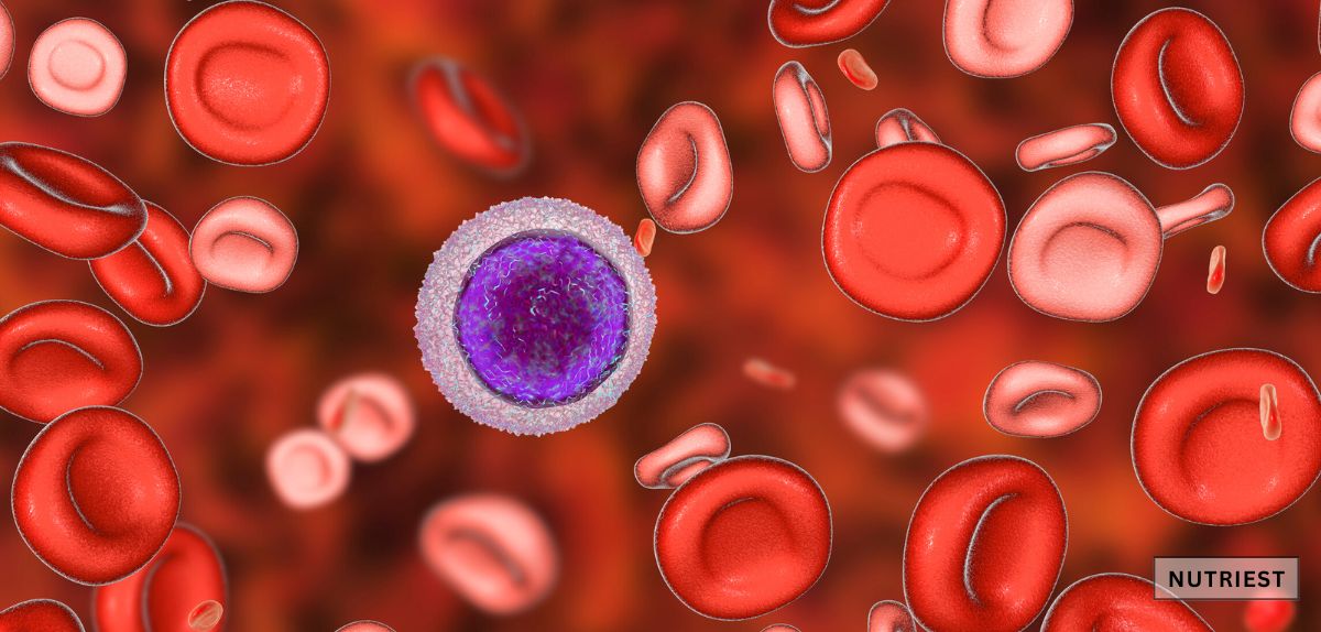 Desiccated beef blood supplement, highlighting the best iron supplement for anemia