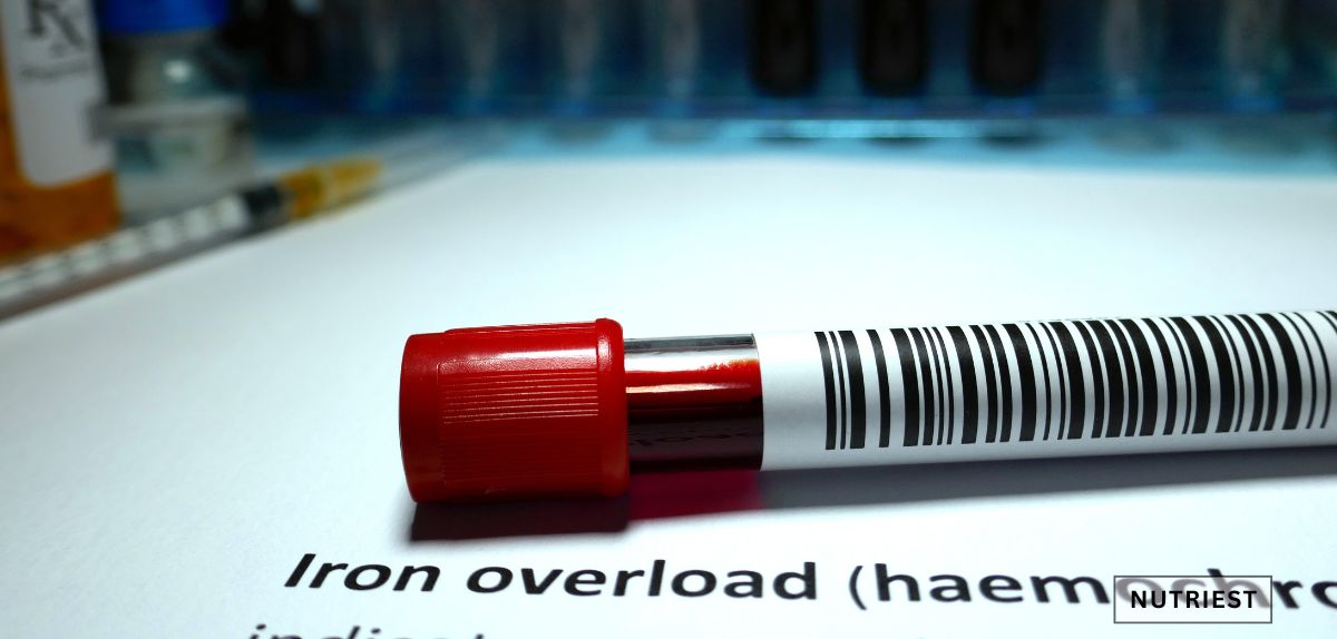 How long does it take for iron to be absorbed into the blood shown by lab blood sample