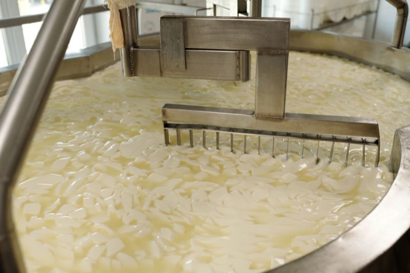 Whey isolate vs whey protein processing showing curds forming in industrial dairy production