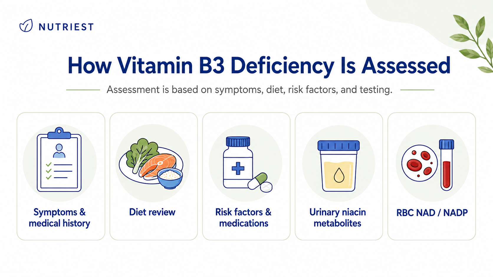 Illustration showing vitamin B3 deficiency assessment through symptoms, diet, medications, and niacin testing.