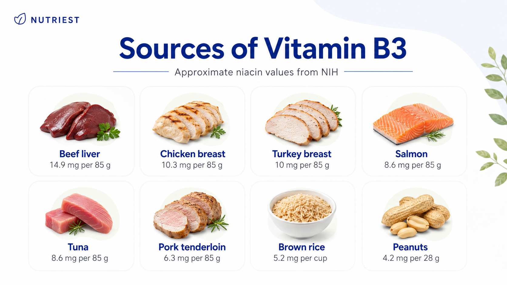 Illustration showing niacin-rich foods that help prevent vitamin B3 deficiency symptoms.